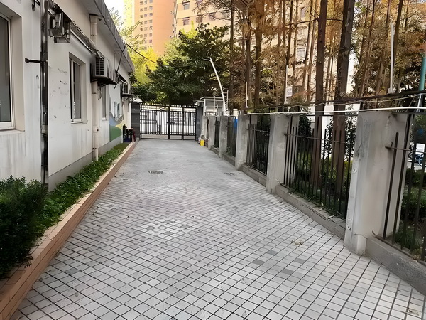 2025年深户时间_陈梦与演员任嘉伦一起打乒乓球，两人系发小+队友 需要展来积累发一定时间